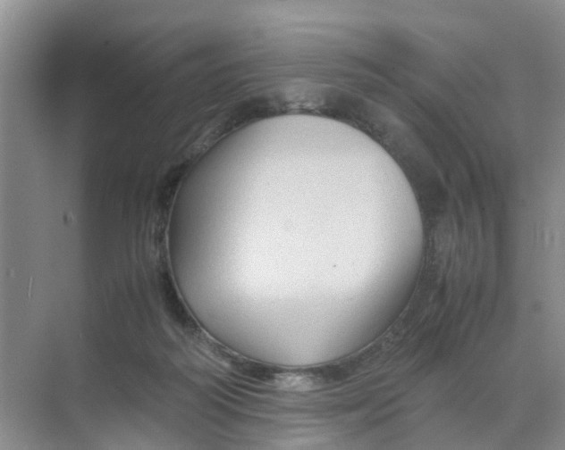 X0000070170218200606162104