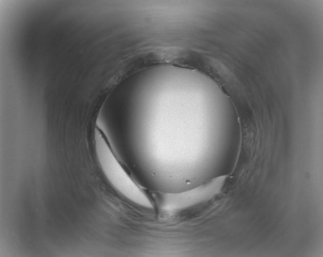 X0000070170221200606162104