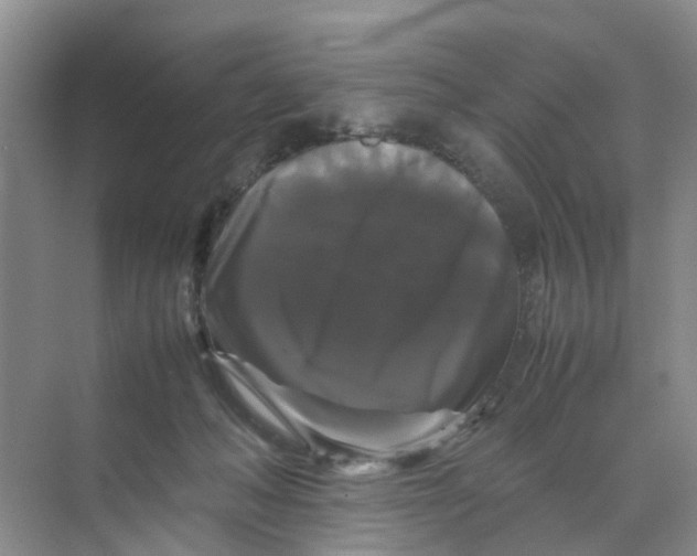 X0000070170222200606162104