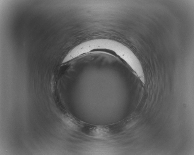 X0000070170223200606162104