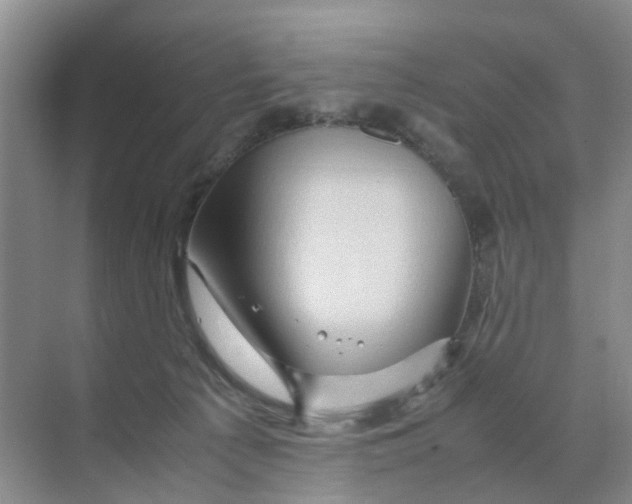 X0000070170225200606162104