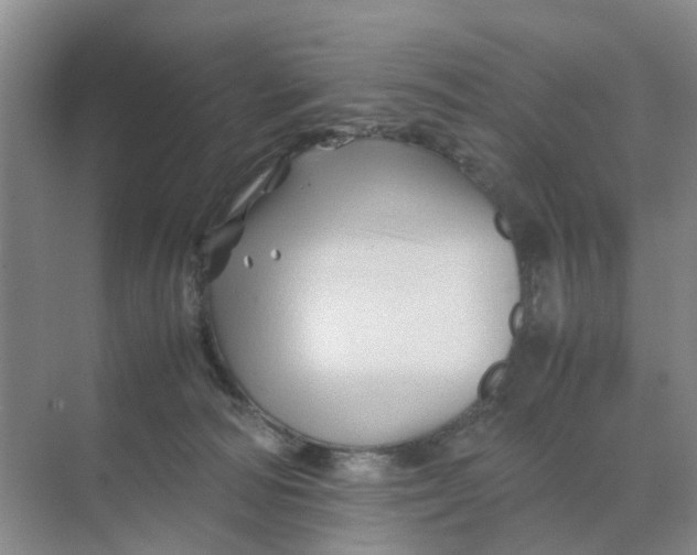 X0000070170226200606162104