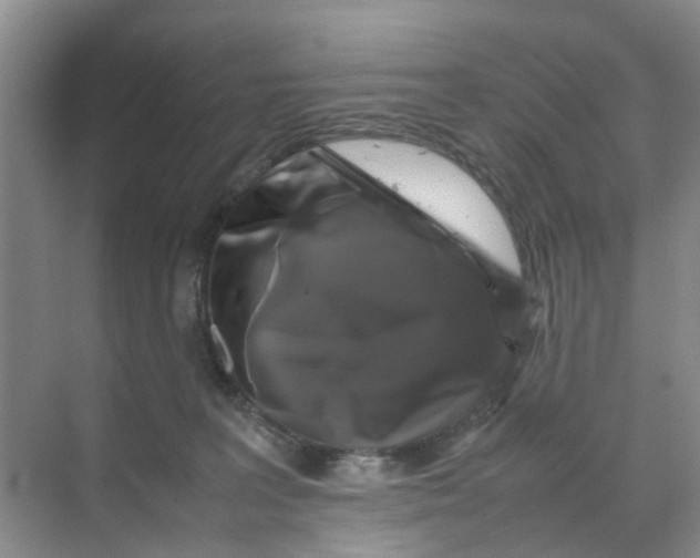 X0000070170227200606162104