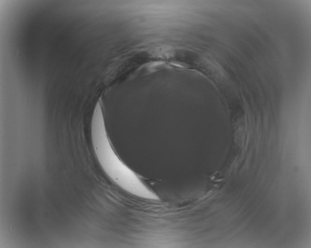 X0000070170229200606162104