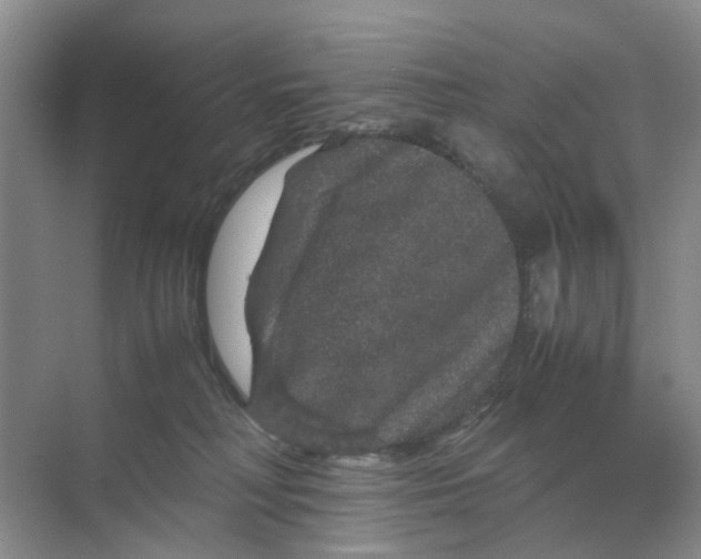 X0000070170230200606162104