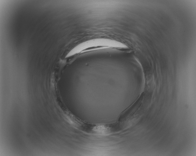 X0000070170231200606162104