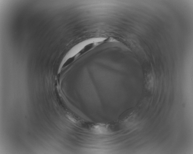 X0000070170232200606162104