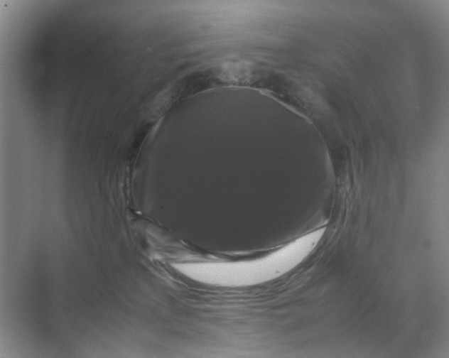 X0000070170233200606162104