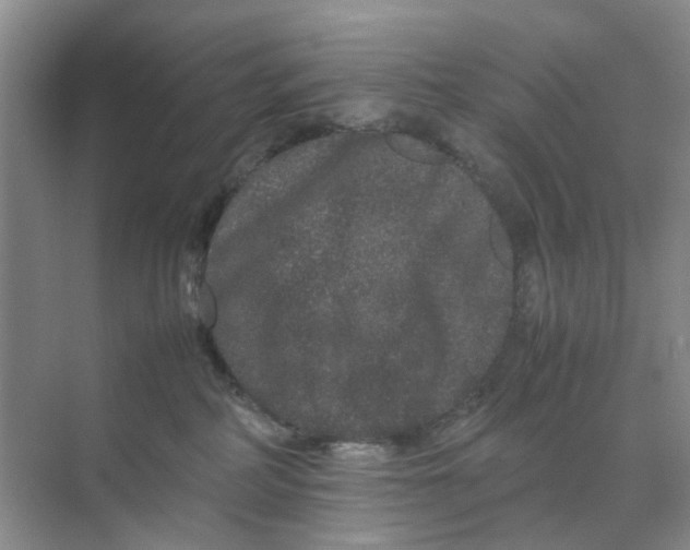 X0000070170234200606162104