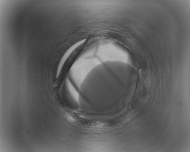 X0000070170235200606162104