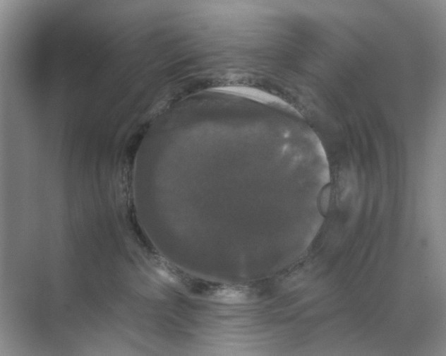 X0000070170236200606162104