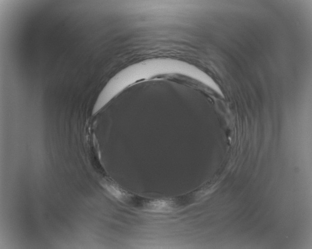 X0000070170237200606162104