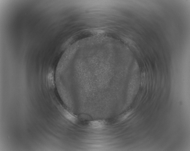 X0000070170238200606162104