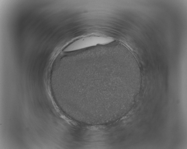 X0000070170241200606162103