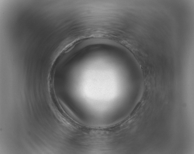 X0000070170242200606162103