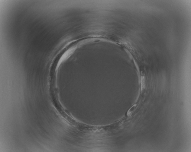 X0000070170243200606162103