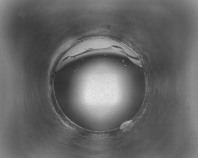 X0000070170245200606162103