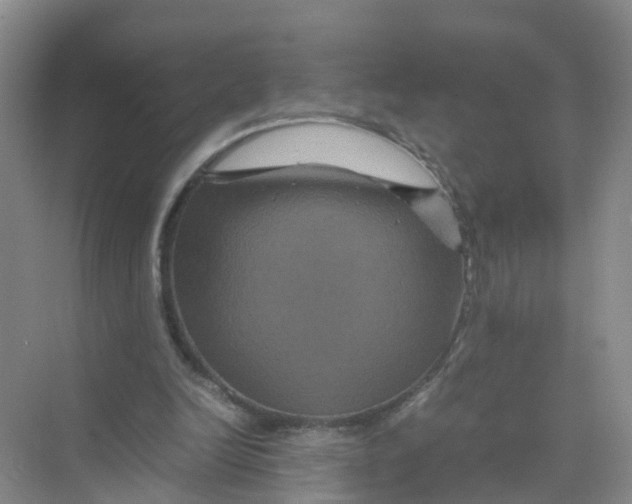 X0000070170246200606162103