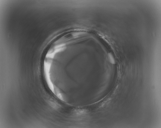 X0000070170247200606162103