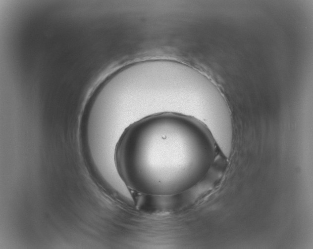 X0000070170248200606162103