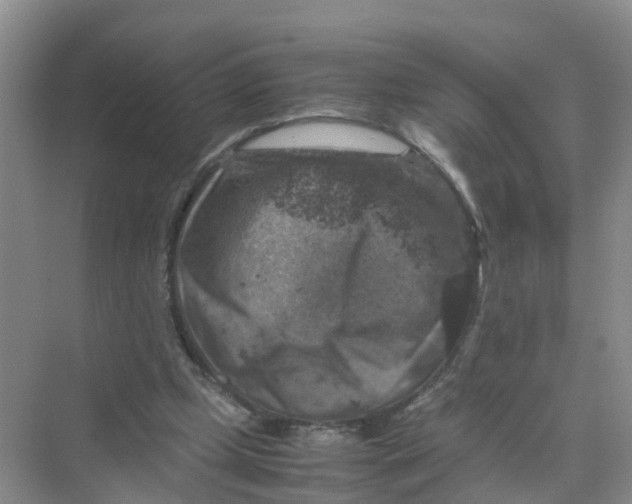 X0000070170249200606162103