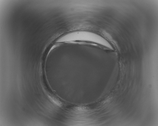 X0000070170250200606162103