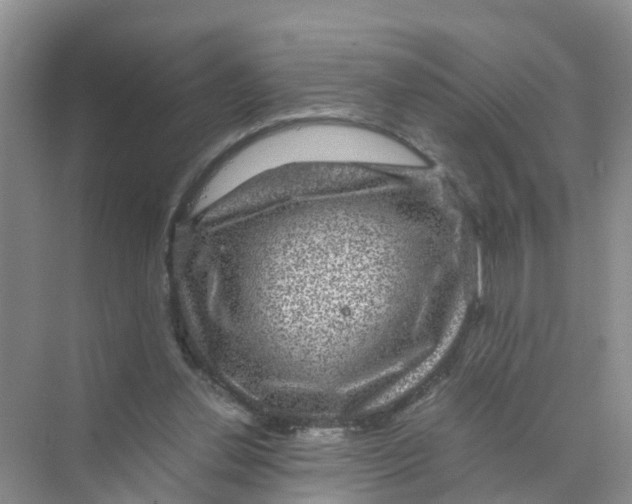 X0000070170252200606162103