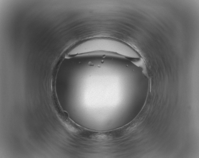 X0000070170253200606162103