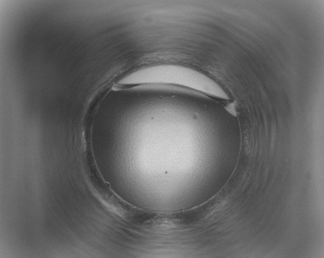 X0000070170254200606162103