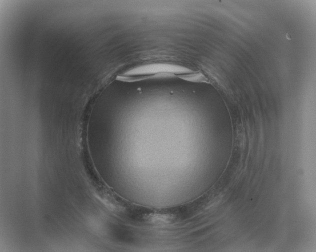 X0000070170255200606162103