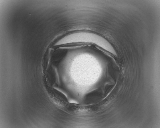 X0000070170256200606162103