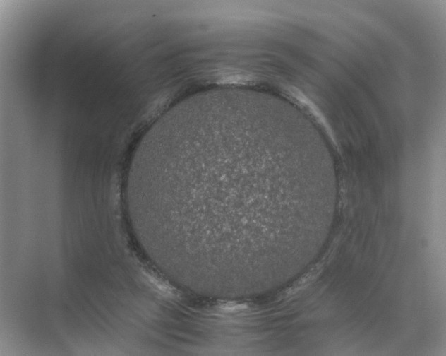 X0000070170257200606162103