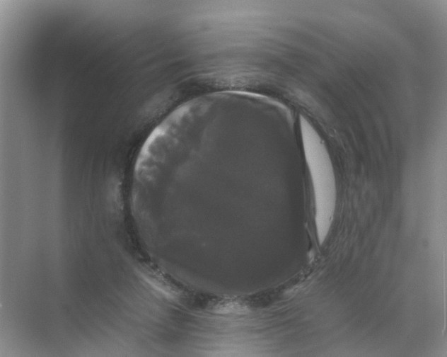 X0000070170258200606162103