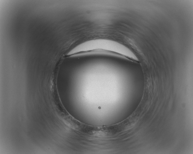 X0000070170259200606162103