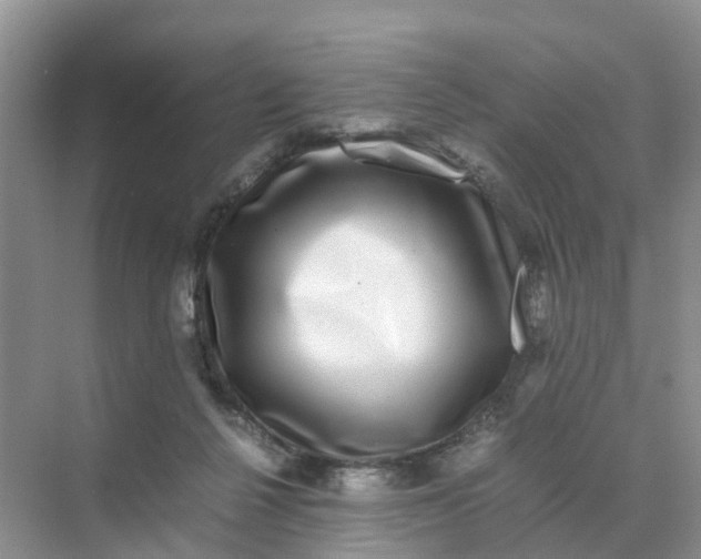 X0000070170264200606162103