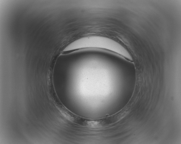 X0000070170265200606162103