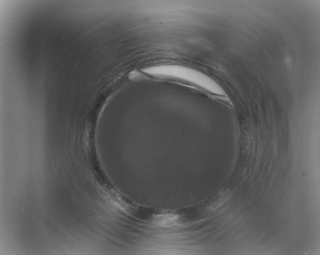 X0000070170266200606162103