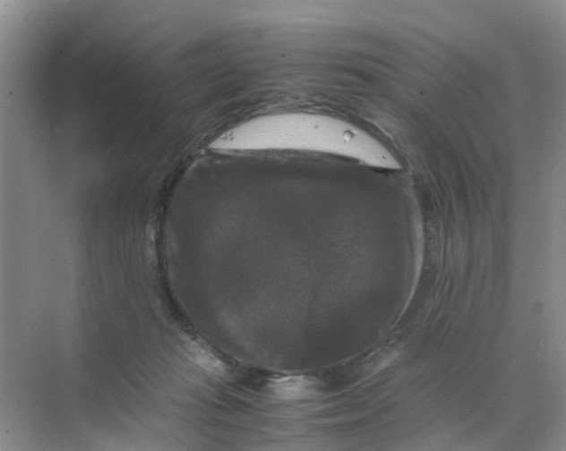 X0000070170269200606162104