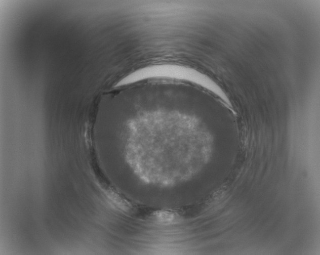 X0000070170272200606162104