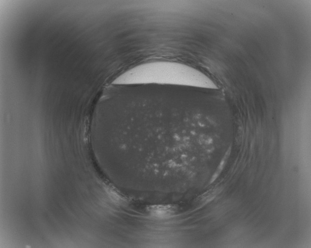 X0000070170273200606162104