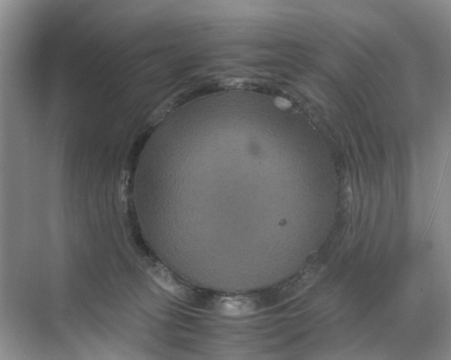 X0000070170275200606162104