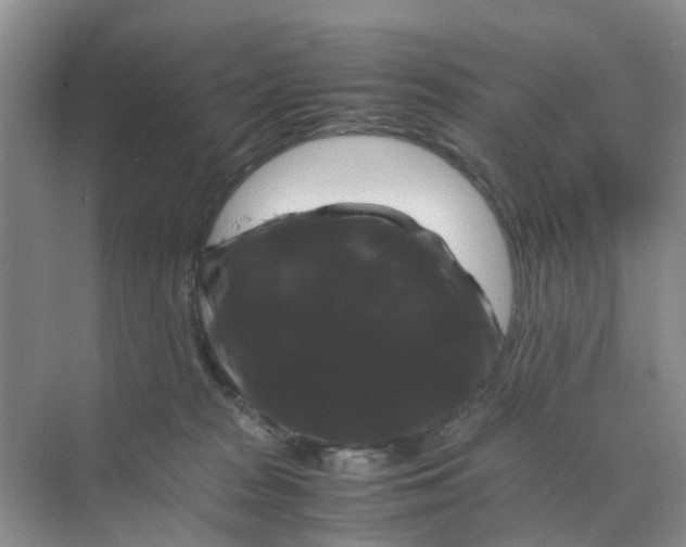 X0000070170277200606162104