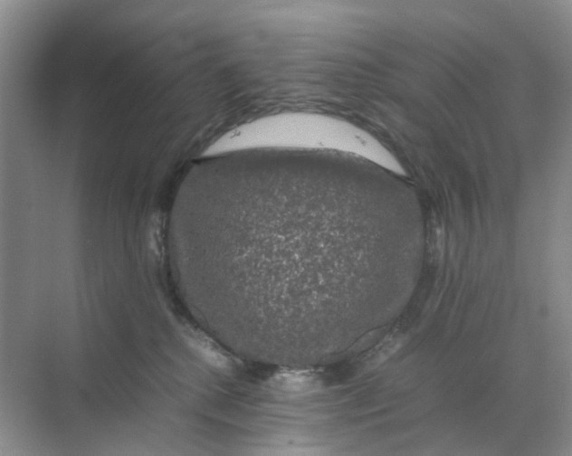 X0000070170280200606162104