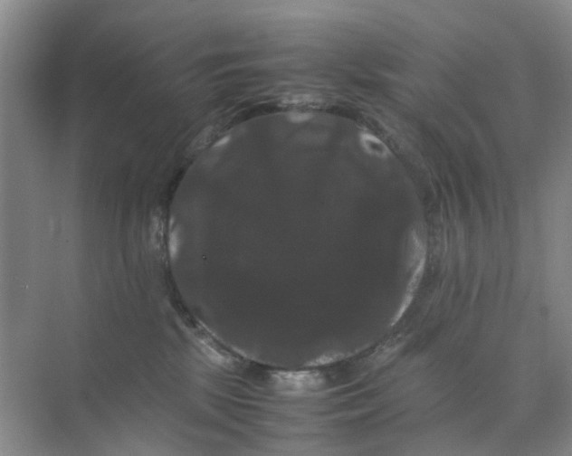 X0000070170281200606162104