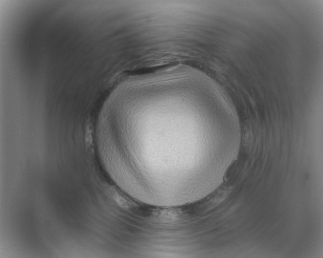 X0000070170282200606162104