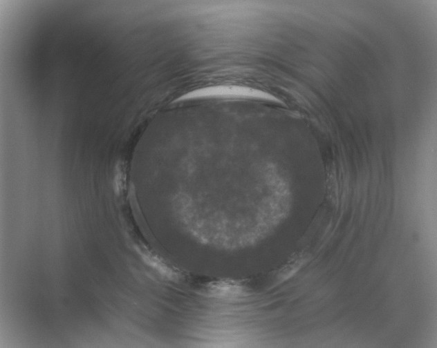 X0000070170284200606162104