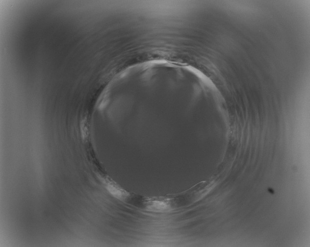 X0000070170285200606162104