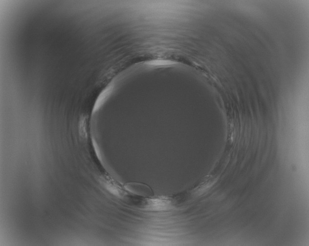 X0000070170286200606162104