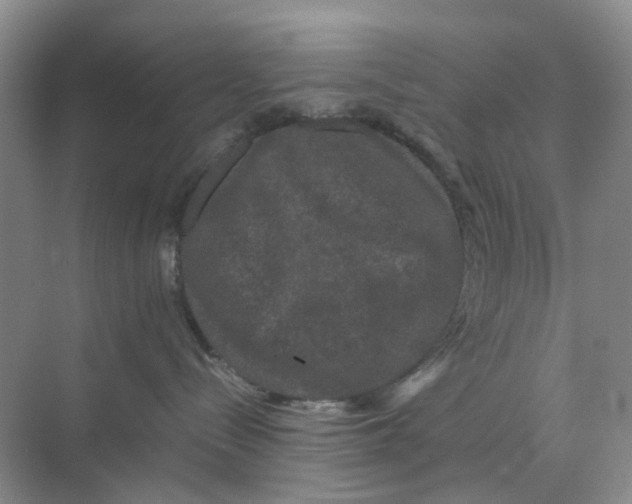 X0000070170288200606162104