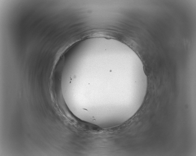 X0000070170289200606162103